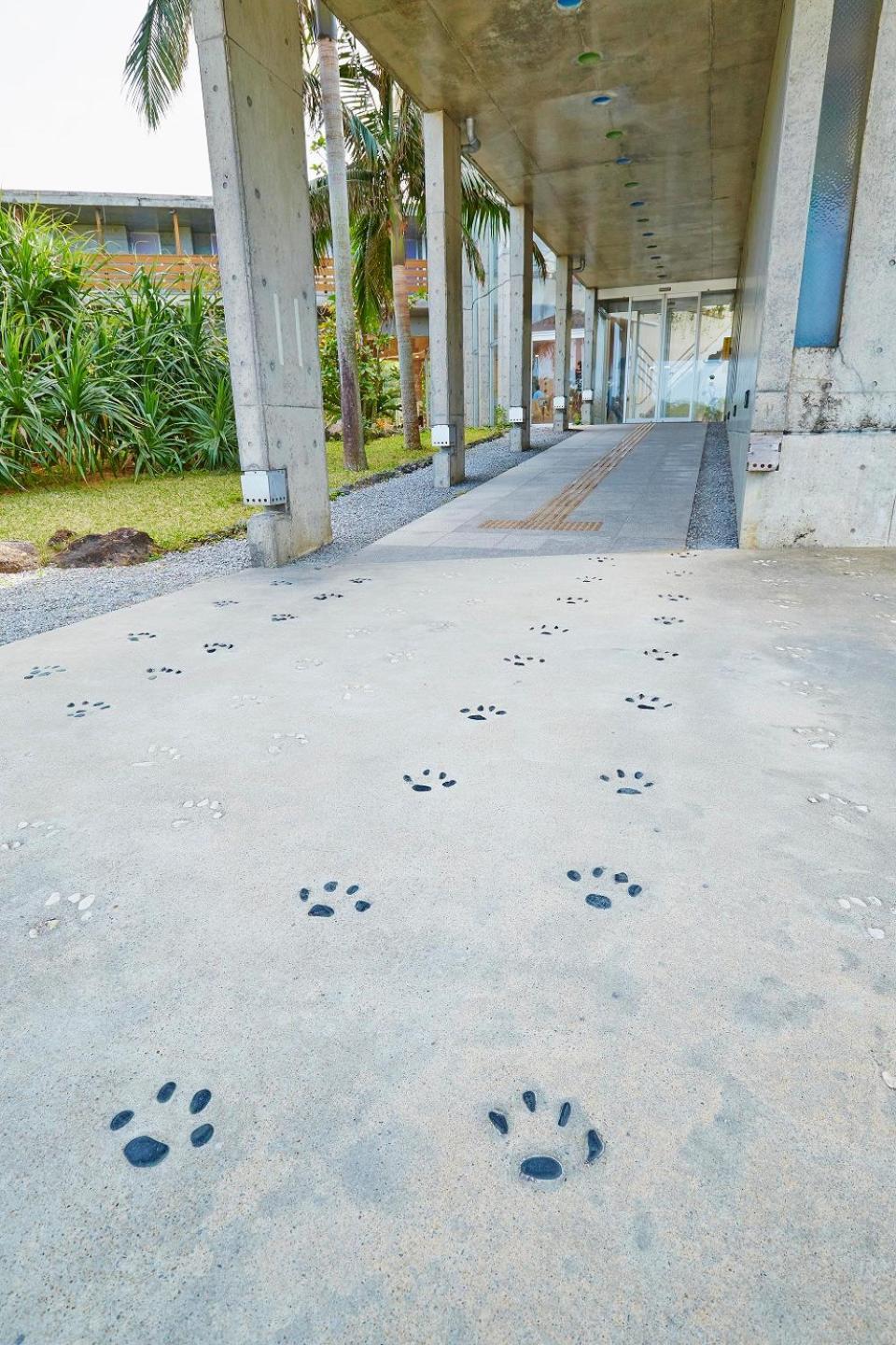 Iriomotejima-Jungle Hotel Painumaya Takana Екстер'єр фото